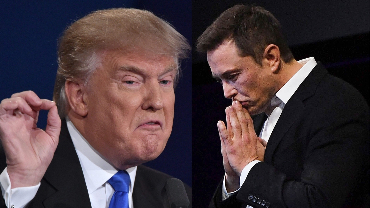 trump vs elon musk fight
